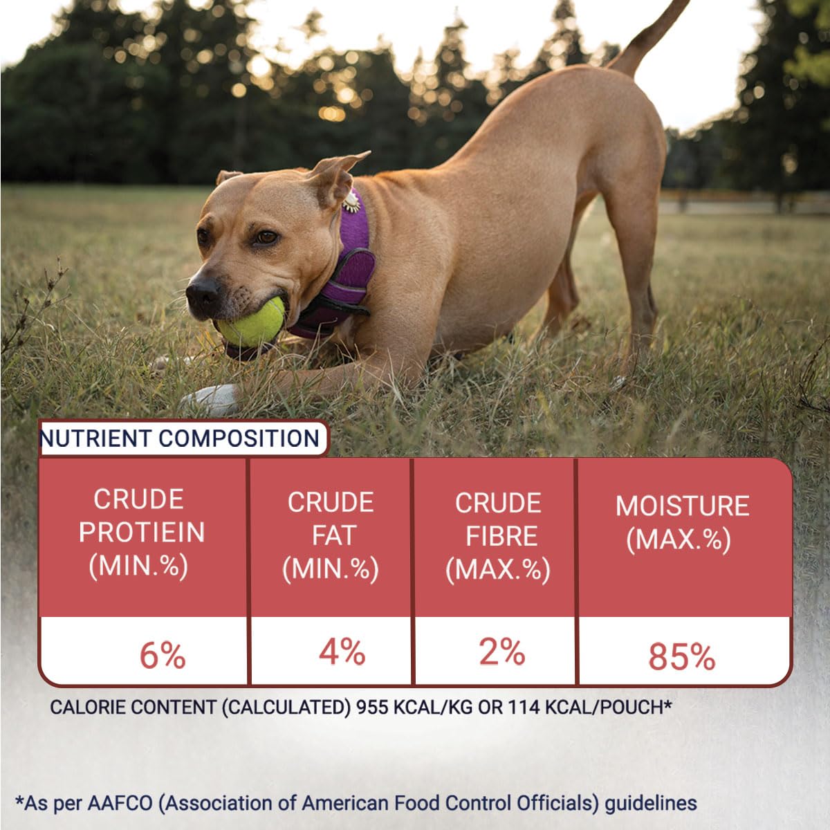 Bowlers Adult Wet Dog Food | Lamb in Gravy |80 GMS (Pack of 48)| Gluten Free | Supports Hydration | Smooth Digestion & Healthy Coat