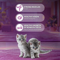 Whiskas Junior Mother Cat & Kitten (2-12 Months) Dry Cat Food, Ocean Fish Flavour, 6.5 kg, Contains 41 Essential Nutrients, Complete & Balanced Nutrition for Mother Cats & Kittens