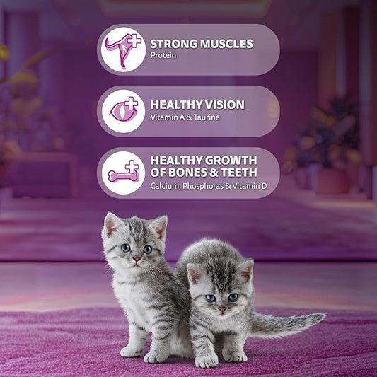 Whiskas Junior Mother Cat & Kitten (2-12 Months) Dry Cat Food, Mackerel Fish Flavour, 3 kg, Contains 41 Essential Nutrients, Complete & Balanced Nutrition for Mother Cats & Kittens