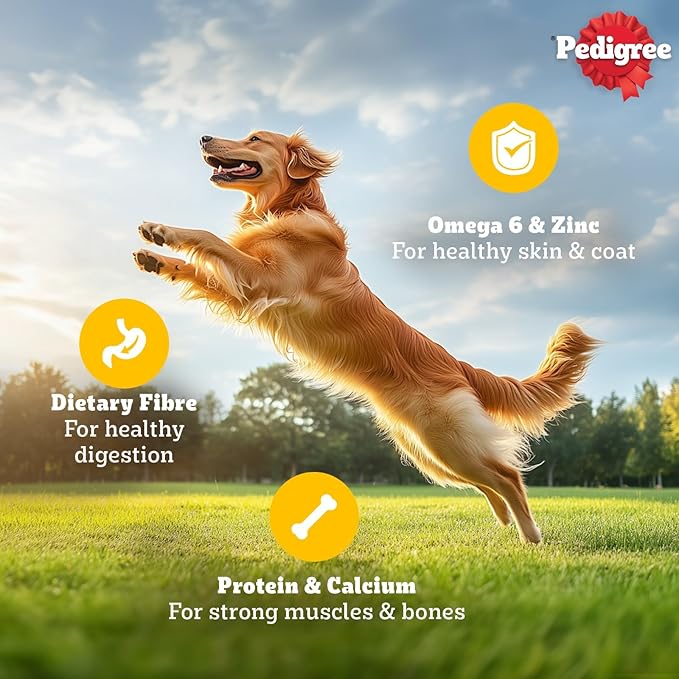 Pedigree Wet Dog Food, Grilled Liver Chunks in Gravy (30x70g) + Pedigree Dentastix Oral Care Dog Treats, Adult Large Breed, 1.08 kg | Complete Nutrition & Oral Care Combo Pack for Adult Dogs