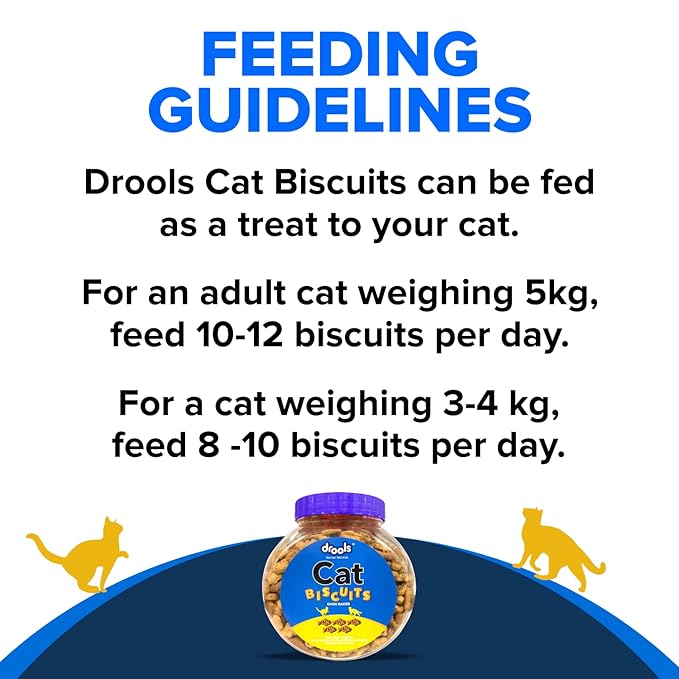 Drools Adult Cat Treat Biscuits 400g Jar | Real Chicken Flavour | Active behaviour | Oral Health | Training and Behaviour