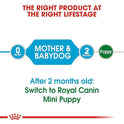 Royal Canin Mini Starter, Mother & Babdog Food, 1 Kg, Dry Food, Supports Complex Natural Defence & digestive health, Provides Gestation/Lactation Support, Supports Easy rehydration