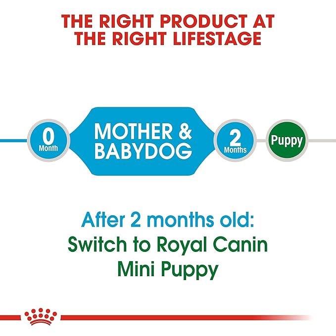 Royal Canin Mini Starter, Mother & Babdog Food, 1 Kg, Dry Food, Supports Complex Natural Defence & digestive health, Provides Gestation/Lactation Support, Supports Easy rehydration