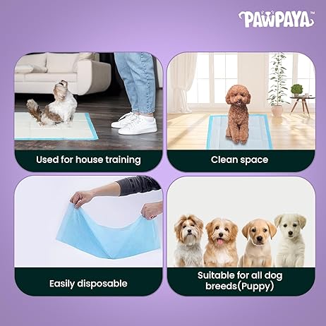 Training Pads for Dogs & Puppies | Ultra Absorbent Leak-Proof Pee Pads | Quick-Dry with Odour Neutralizer | Indoor Potty Training Pads for All Breeds | 7 Pads Each, Pack of 2