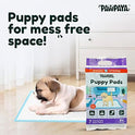 Training Pads for Dogs & Puppies | Ultra Absorbent Leak-Proof Pee Pads | Quick-Dry with Odour Neutralizer | Indoor Potty Training Pads for All Breeds | 7 Pads Each, Pack of 2