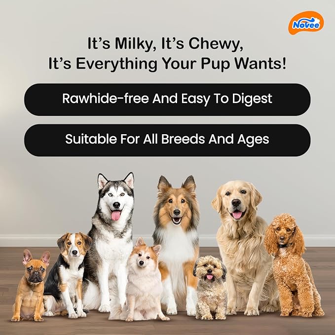 DOGAHOLIC Milky Chew Goat Milk Mini Bones Treats for Dogs, Premium Long-Lasting Chew Snacks, Rich in Calcium & Nutrients, Supports Digestive Health, Dog Treats for All Breeds, 500 g