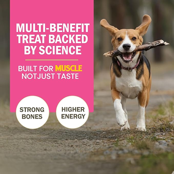 GNAWLERS All Life Stages Calcium 30 in 1 Milk Bones Dog Treats, 270 g