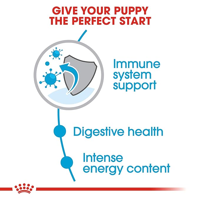 Royal Canin Medium Puppy Food, 1 Kg, Dry Food, Supports Digestive Health & Immune System, Provides Short Growth & High Energy Content
