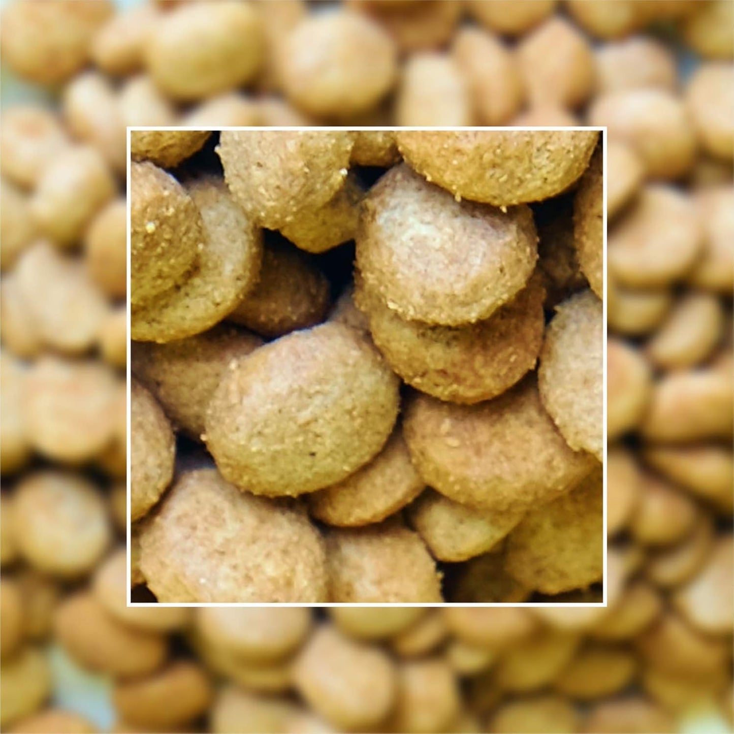 MEAT UP Puppy Dry Dog Food (Chicken Flavor) - 20 kg Pack