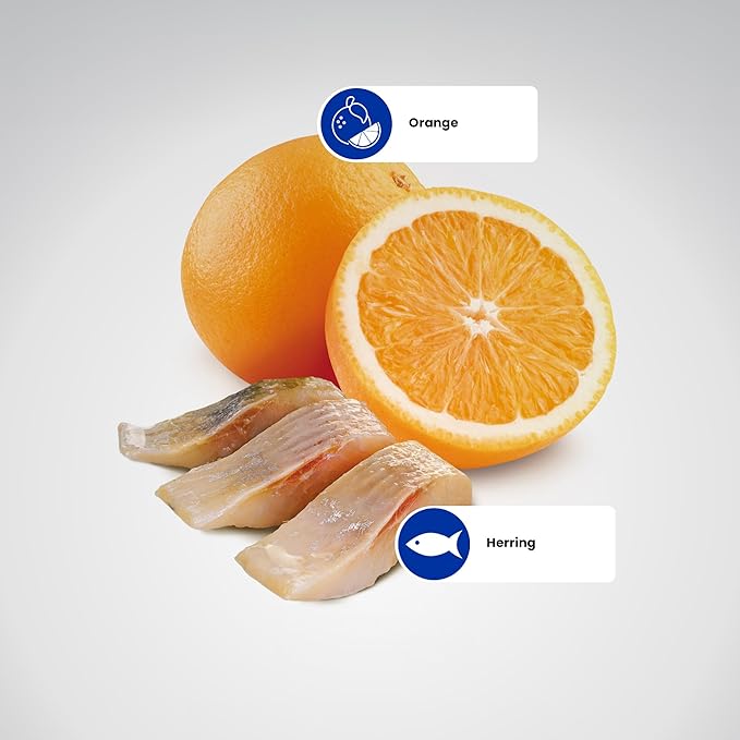 Farmina N&D Ocean Herring & Orange Cat Food | Premium Dry Food | Rich Source of Omega Fatty acids, Low Glycemic | Complete & Balanced Nutrition | for Adult Cats | 5kg