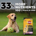 Pedigree PRO Mother & Pup Starter Large Breed, 10 kg Dry Dog Food, Vet Trusted Brand, Expert Nutrition, Quality Protein, 33% More Nutrients (3-12 Weeks)