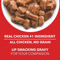 Drools Adult Wet Dog Food, Real Chicken and Chicken Liver Chunks in Gravy, 15 Pouches (15 x 150g)+ Drools Focus Puppy Super Premium Dog Food (1.2Kg),1.2 g (Pack of 1)