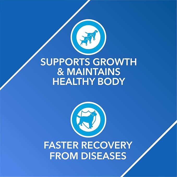 Drools Puppy Wet Dog Food, Real Chicken and Chicken Liver Chunks in Gravy, 15 Pouches (15 x 150g) & Absolute Vitamin Tablet- Dog Supplement, 50 Pieces