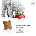 Royal Canin Mini Adult Dog Food, 800 Grams, Supports Weight Management & Digestive Health, Dry