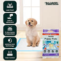 Training Pads for Dogs & Puppies | Ultra Absorbent Leak-Proof Pee Pads | Quick-Dry with Odour Neutralizer | Indoor Potty Training Pads for All Breeds | 7 Pads Each, Pack of 2