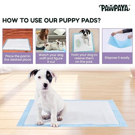 Training Pads for Dogs & Puppies | Ultra Absorbent Leak-Proof Pee Pads | Quick-Dry with Odour Neutralizer | Indoor Potty Training Pads for All Breeds | 7 Pads Each, Pack of 2