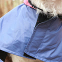 Pet Set Go Dual Colour Cape Style Raincoat for Dogs