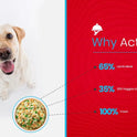 Active Fresh Mutton Biryani Dog Wet Food