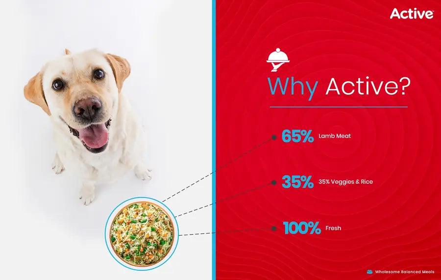 Active Fresh Mutton Biryani Dog Wet Food