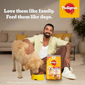 Pedigree Adult Dry Dog Food, Chicken, Egg & Rice, 3 kg, Contains 37 Essential Nutrients, 100% Complete & Balanced Food for Adult Dogs