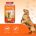 Amazon Basics Dog Biscuits for All Breeds | 1 kg (Pack of 2) | for All Life Stages