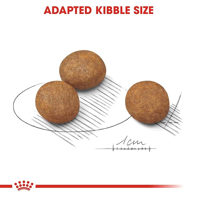 Royal Canin Maxi Puppy Food, 1 Kg, Dry Food, Supports Immune System & digestive health, Provides Long growth, moderate energy