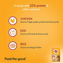 Pedigree Combo for Adult Dogs- Dry Dog Food, (High Protein Variant) Chicken, Egg & Rice, 10 kg Pack & Wet Dog Food, Chicken & Liver Chunks in Gravy, 70 g (Pack of 15)