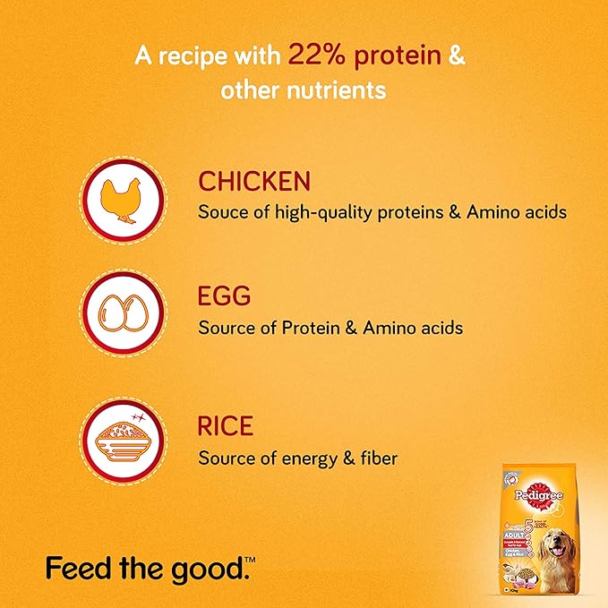 Pedigree Combo for Adult Dogs- Dry Dog Food, (High Protein Variant) Chicken, Egg & Rice, 10 kg Pack & Wet Dog Food, Chicken & Liver Chunks in Gravy, 70 g (Pack of 15)