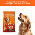 Amazon Basics Dry Dog Food | 10 Kg | Chicken & Rice | with Real Chicken Meat | Kibble for Adult Dogs | Packed with Protein | Suitable for All Breeds