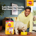 Pedigree Puppy Dry Dog Food, Chicken & Milk, 3 kg, Contains 37 Essential Nutrients, 100% Complete & Balanced Food for Puppies