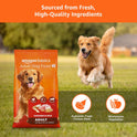 Amazon Basics Dry Dog Food | 10 Kg | Chicken & Rice | with Real Chicken Meat | Kibble for Adult Dogs | Packed with Protein | Suitable for All Breeds