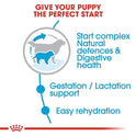 Royal Canin Giant Puppy Food, 1 Kg, Dry Food, Supports Immune System, Bone & Joint Health, Promotes Growth controlled Energy