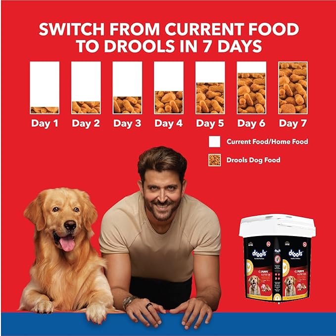 Drools Puppy Dry Dog Food Inside Container 5kg | Chicken and Egg Flavour | Digestive Support | Immune Boosting | DHA Helps in Brain Development | Highly Palatable