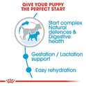 Royal Canin Starter Mini, Mother & Babdog Food, 8 Kg, Dry Food, Supports Complex Natural Defence & digestive health, Provides Gestation/Lactation Support, Supports Easy rehydration