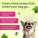 BARK OUT LOUD - Dental Treats | Brush Shape Dog Chews | Removes Plaque/Tartar | Fresh Smell | Oral Care Gluten Free| Chicken Dog Treats (100 GMS)