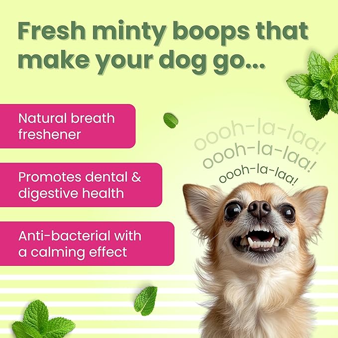 BARK OUT LOUD - Dental Treats | Brush Shape Dog Chews | Removes Plaque/Tartar | Fresh Smell | Oral Care Gluten Free| Chicken Dog Treats (100 GMS)