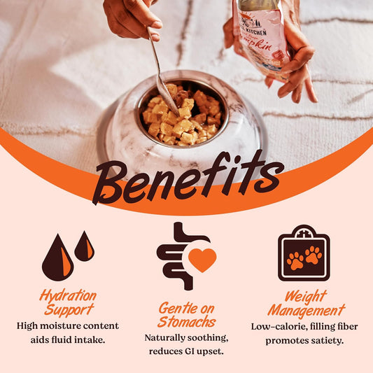 Kennel Kitchen Supreme Cuts in Gravy, Fish Recipe with Pumpkin, 130g (Pack of 12) Wet Dog Food for Adult and Puppy