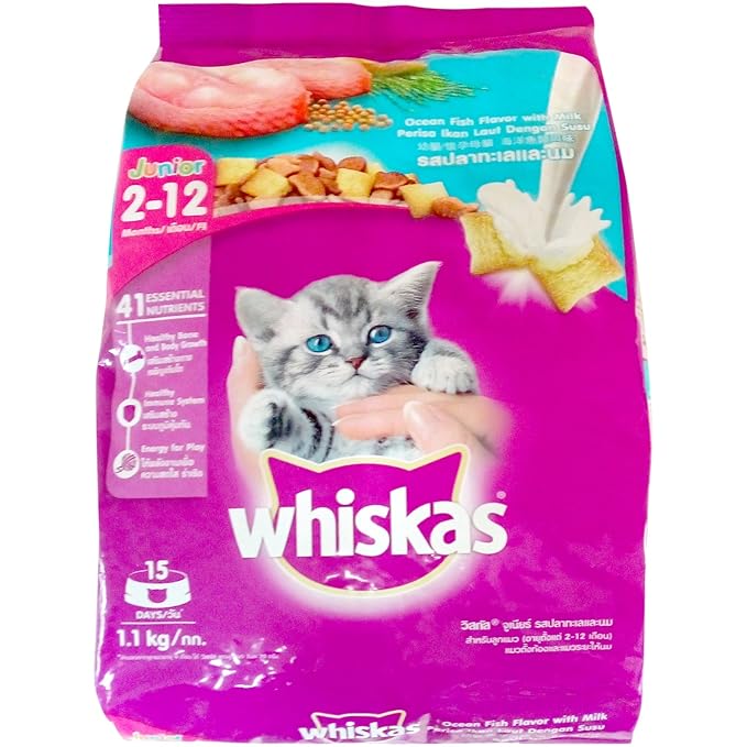 Whiskas Kitten Dry Cat Food Junior - Ocean Fish, 1.1kg Pack