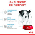Royal Canin Mini Puppy Food, 800 Grams, Dry Food, Supports Complex Natural Defence & digestive health, Supports Immune System