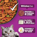 Whiskas Adult (1+ Years) Dry Cat Food, Ocean Fish Flavour, 1.2 kg, Contains 41 Essential Nutrients, Complete & Balanced Nutrition for Adult Cats