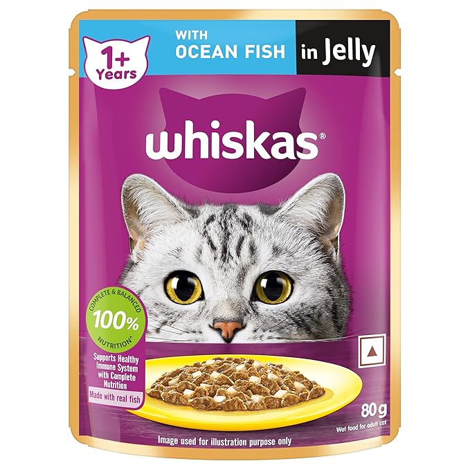 Whiskas Adult (1+ year) Wet Cat Food, Ocean Fish Flavor, 80 g Hydrating Food Made With Real Fish, 100% Complete & Balanced Nutrition for Adult Cats