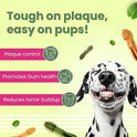 BARK OUT LOUD - Dental Treats | Brush Shape Dog Chews | Removes Plaque/Tartar | Fresh Smell | Oral Care Gluten Free| Chicken Dog Treats (100 GMS)