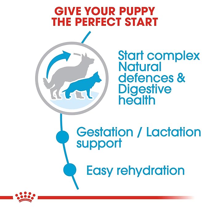 Royal Canin Maxi Starter, Mother & Babydog Food, 1 Kg, Dry Food, Supports Complex Natural Defence & digestive health, Provides Gestation/Lactation Support, Supports Easy rehydration