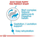 Royal Canin Maxi Starter, Mother & Babydog Food, 4 Kg, Dry Food, Supports Complex Natural Defence & digestive health, Provides Gestation/Lactation Support, Supports Easy rehydration