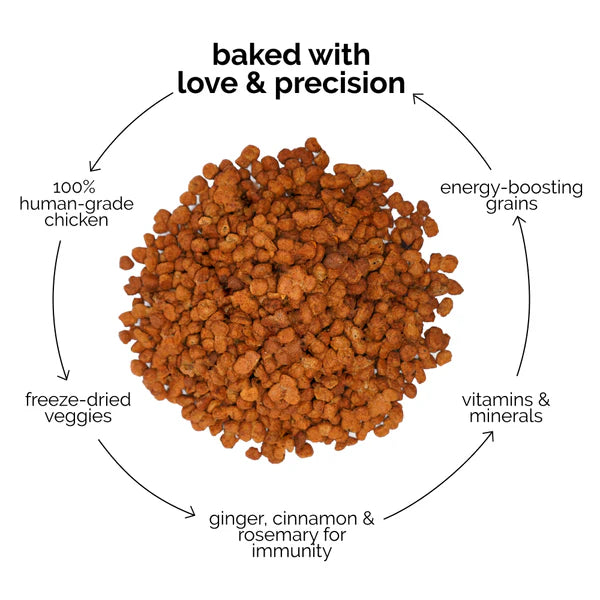 Chicken and Egg Baked Dry Food for Adult Dogs & Puppies