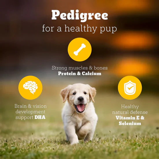 Pedigree Chicken & Milk Dry Dog Food – All Breed Puppy
