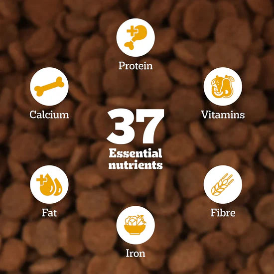 Pedigree Chicken & Milk Dry Dog Food – All Breed Puppy