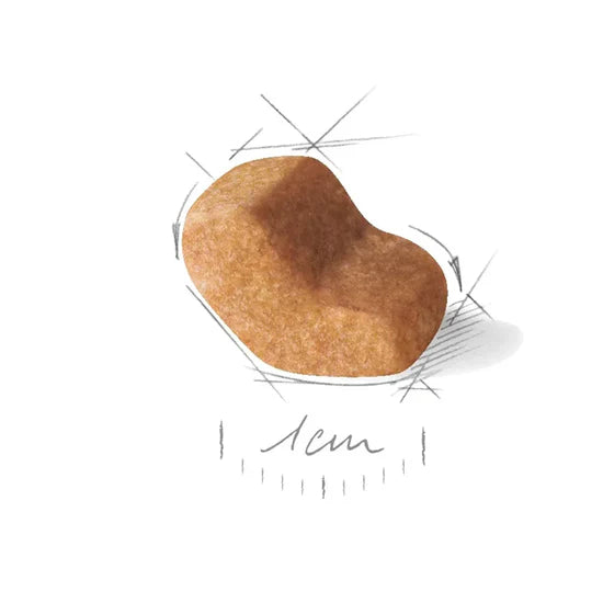 Royal Canin Shih Tzu Adult Dry Dog Food