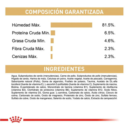 Royal Canin Shih Tzu Adult Dry Dog Food