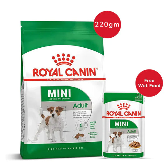 Royal Canin Mini Adult Dry Food 220 g + Mini Adult Wet Pouch 85 g Combo